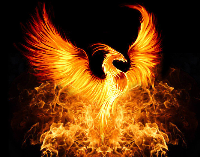 Phoenix burning